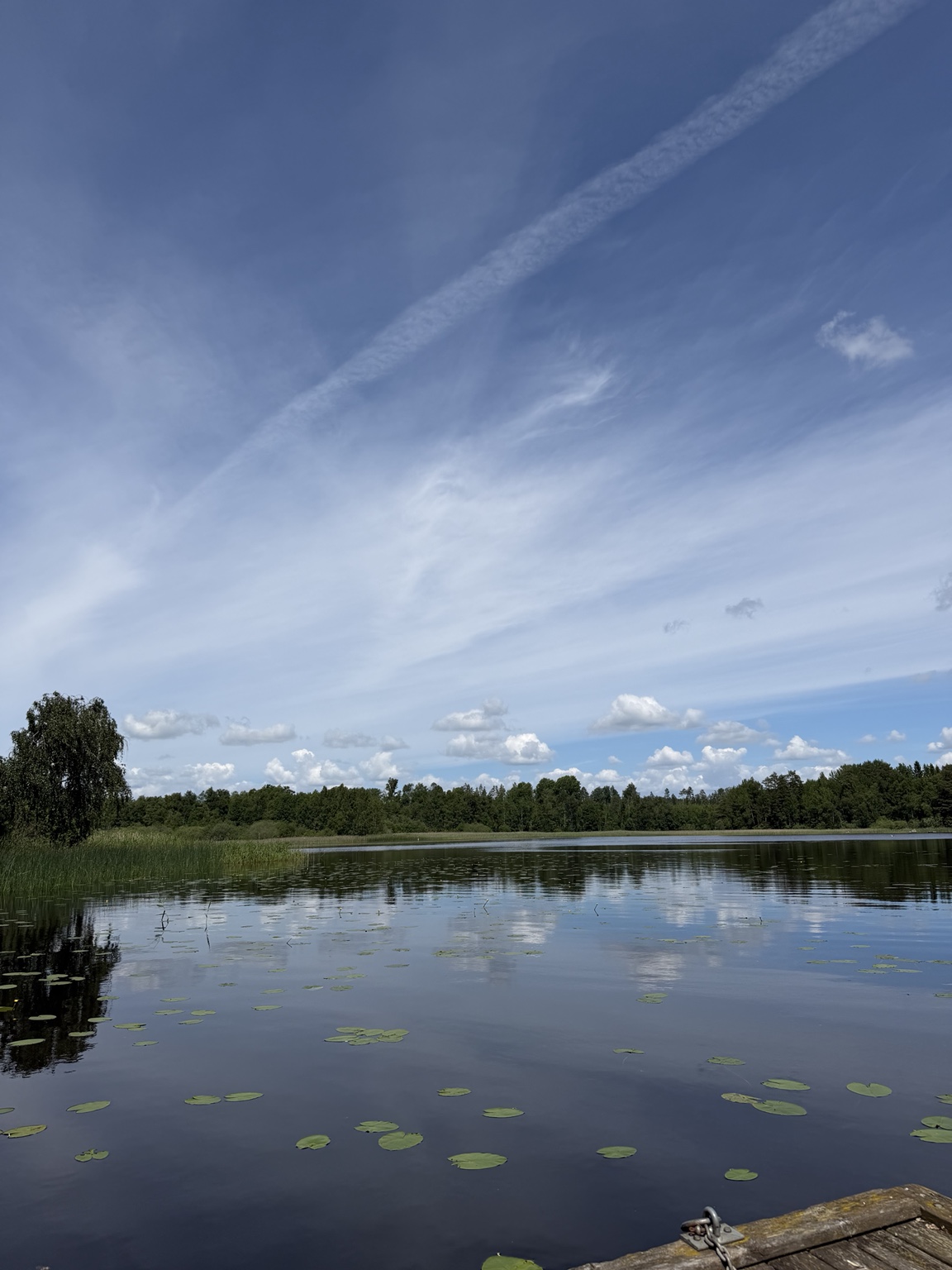 Naturen och sjön nära Flishult